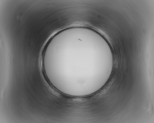 X0000116341227200912011012