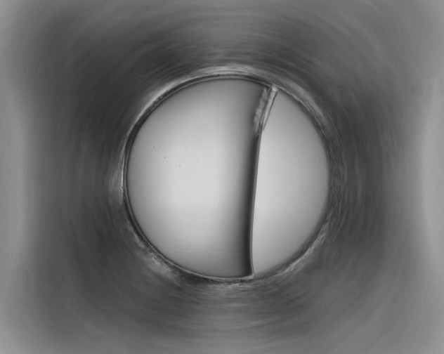 X0000116341228200912011012