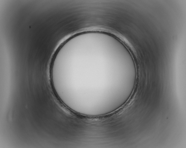 X0000116341230200912011012