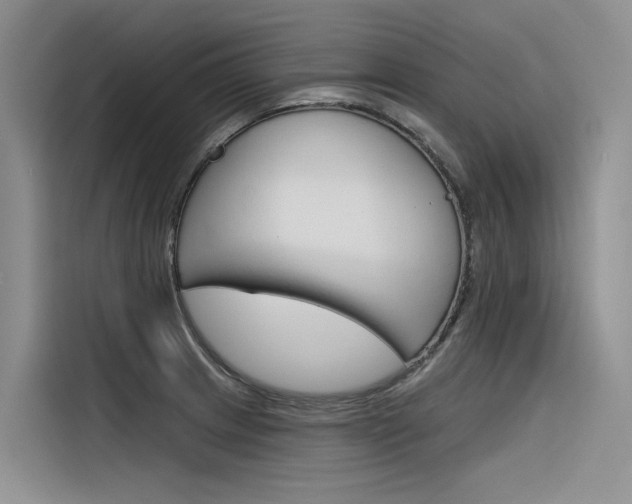 X0000116341233200912011012