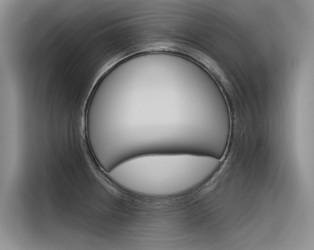 X0000116341234200912011012
