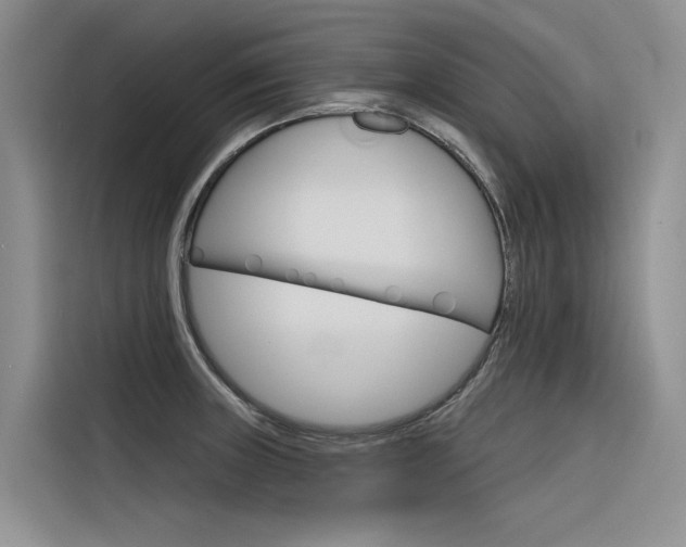 X0000116341235200912011012