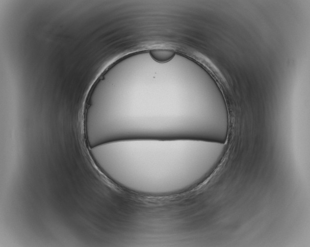 X0000116341236200912011012