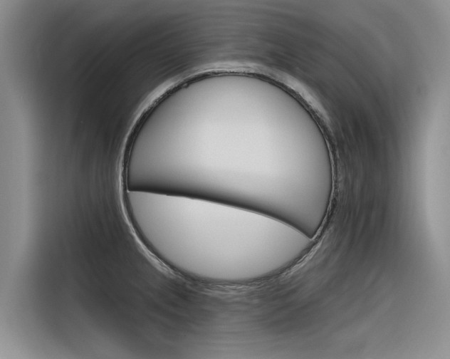 X0000116341237200912011012