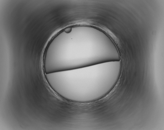 X0000116341240200912011012