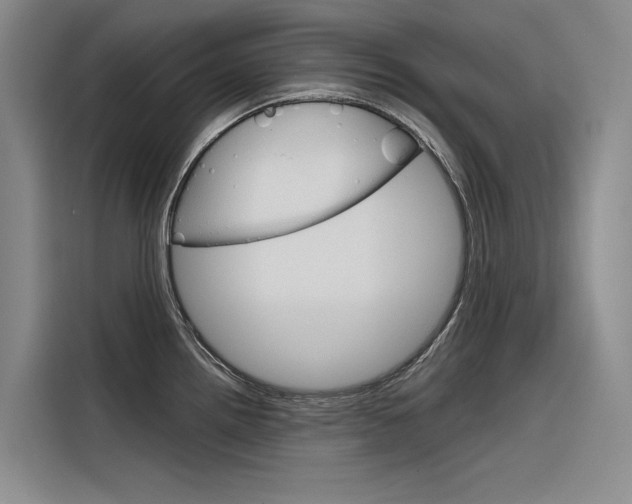 X0000116341242200912011012