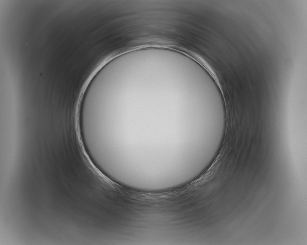 X0000116341243200912011012