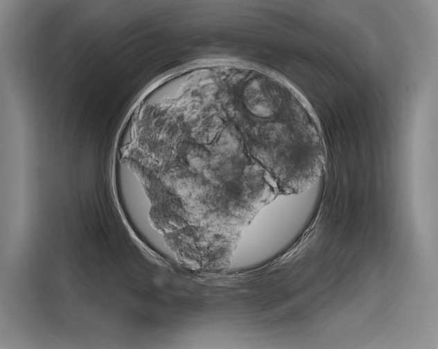 X0000116341245200912011012