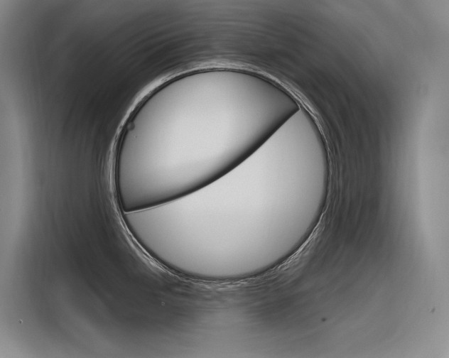 X0000116341246200912011012