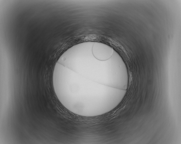 X0000116341250200912011011