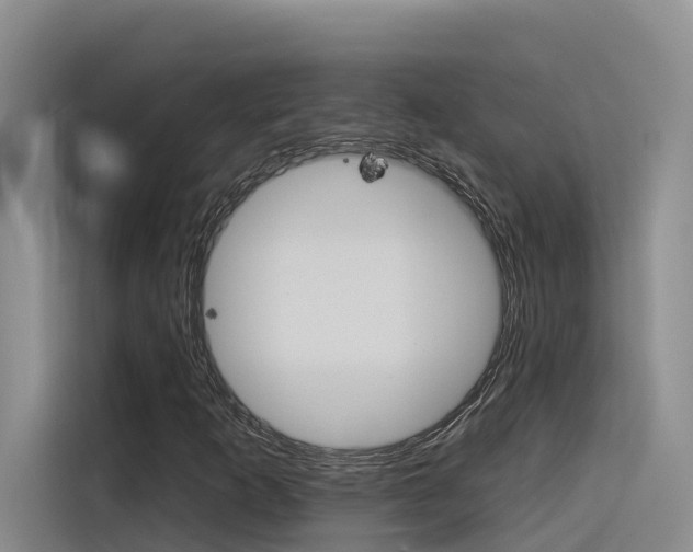 X0000116341253200912011011