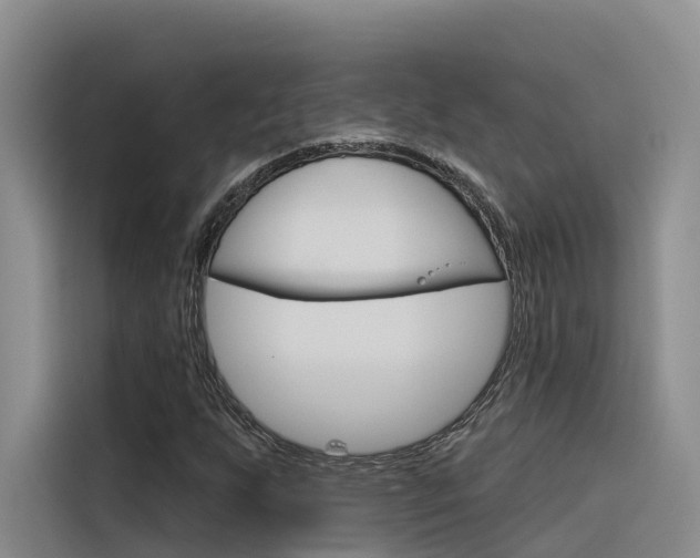 X0000116341255200912011011