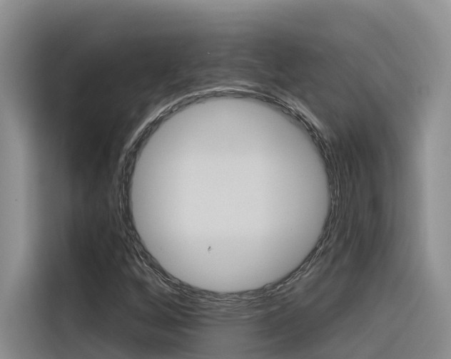 X0000116341256200912011011