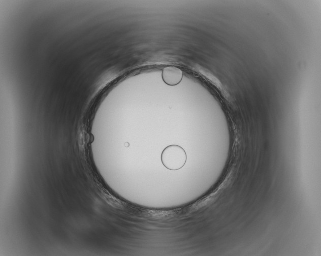 X0000116341258200912011011