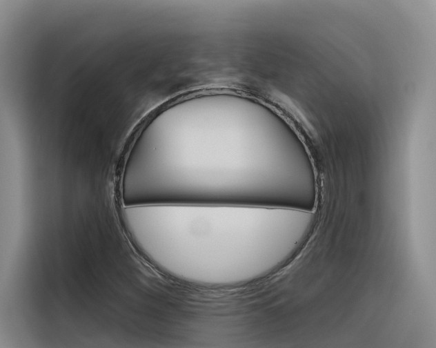 X0000116341260200912011011