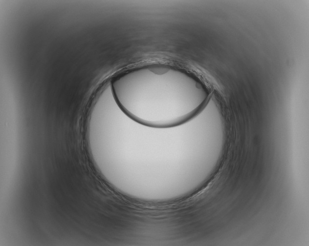X0000116341261200912011011