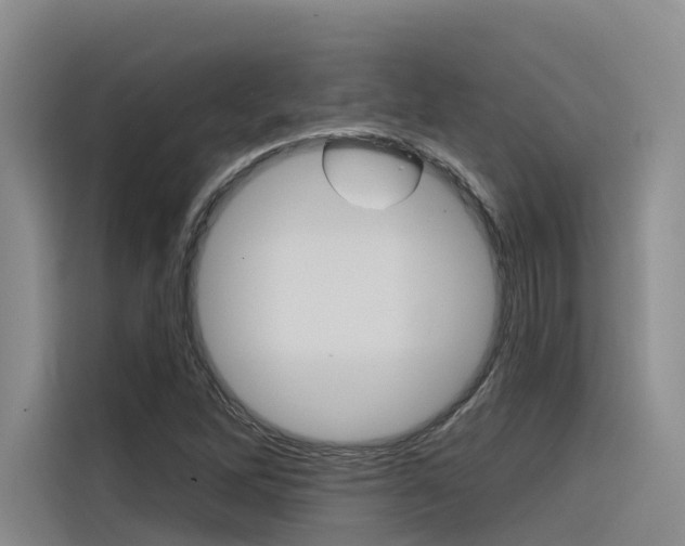 X0000116341262200912011011