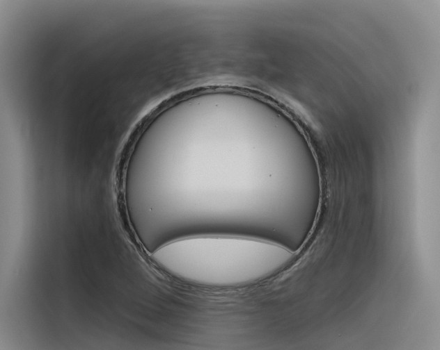X0000116341264200912011011