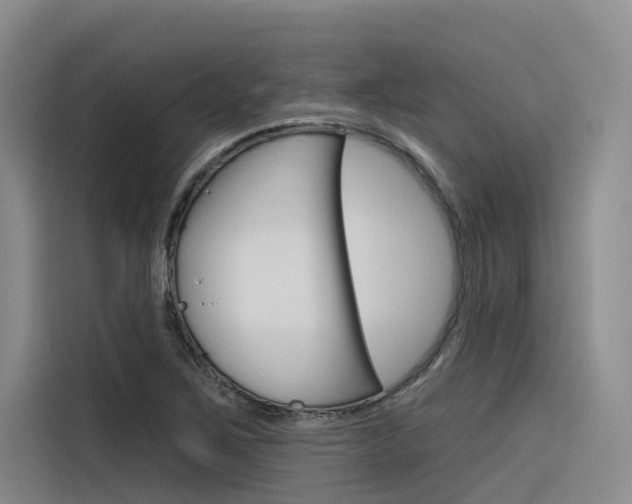 X0000116341267200912011011