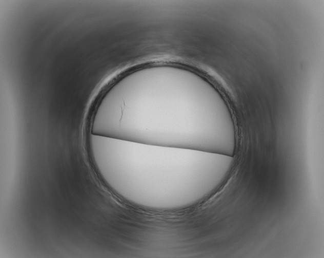 X0000116341270200912011011