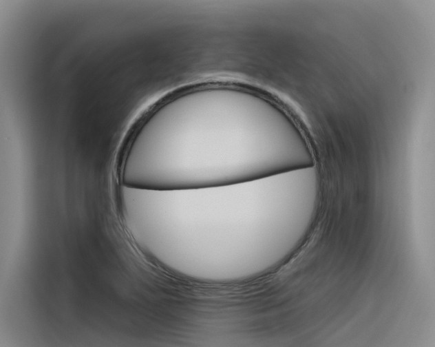 X0000116341271200912011011