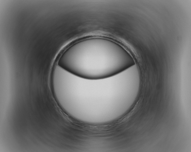X0000116341272200912011011