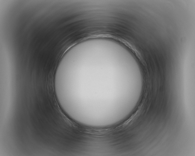 X0000116341273200912011011