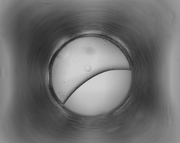 X0000116341274200912011011