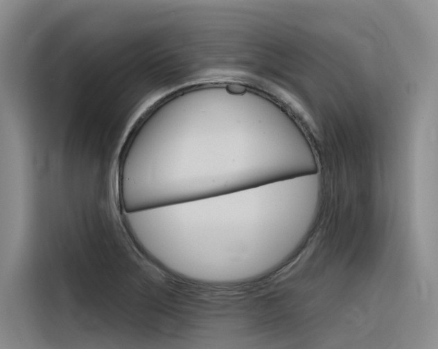 X0000116341275200912011011