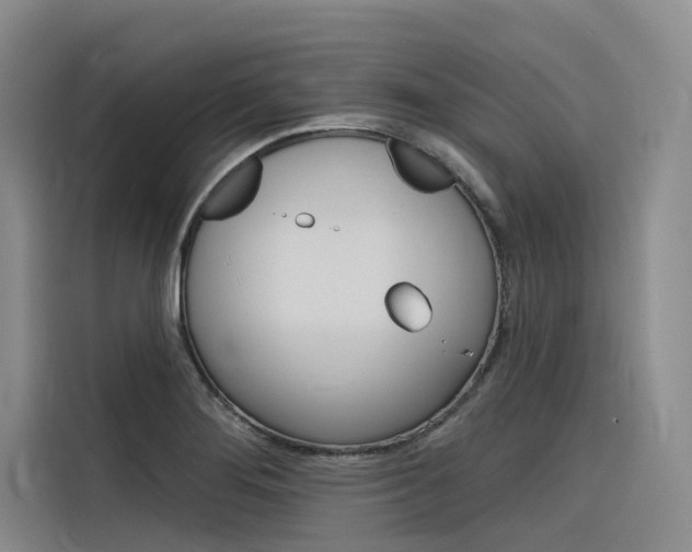 X0000116341276200912011011