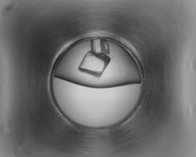X0000116341277200912011011