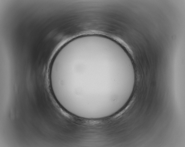 X0000116341278200912011011
