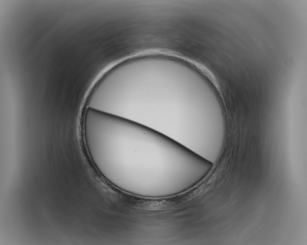 X0000116341279200912011011