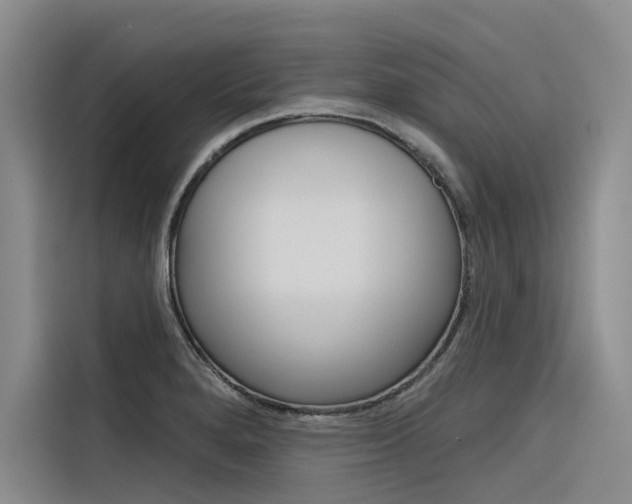 X0000116341280200912011011