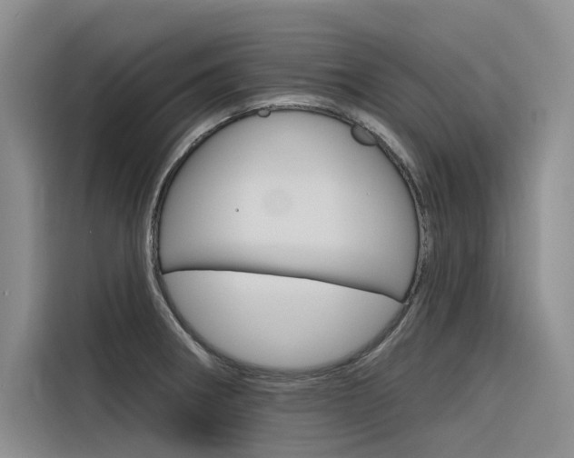 X0000116341282200912011011