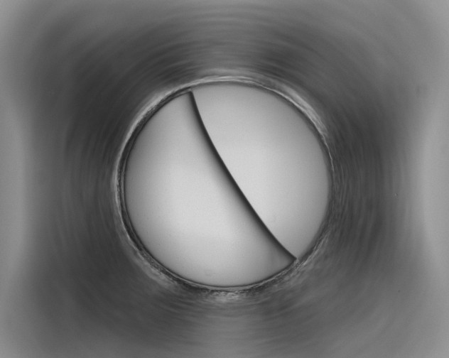X0000116341283200912011011