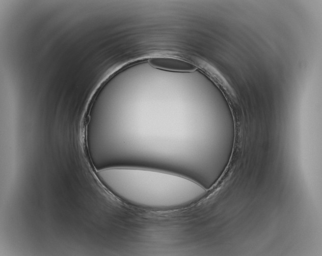 X0000116341284200912011011