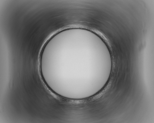 X0000116341286200912011011