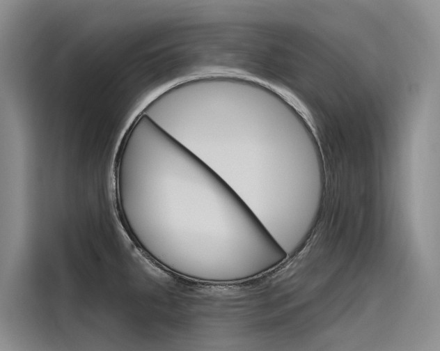 X0000116341287200912011011