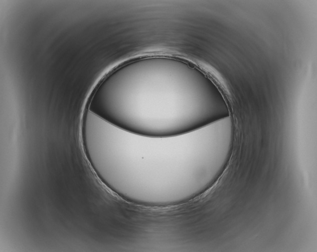 X0000116341288200912011011
