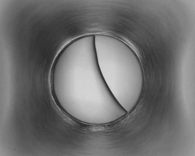 X0000116341291200912011011