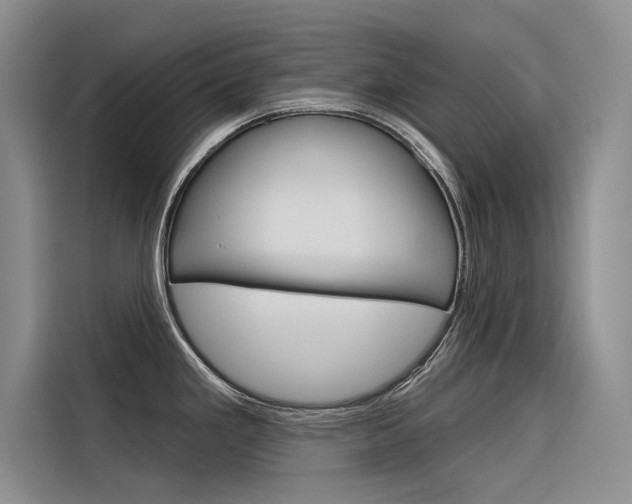 X0000116341293200912011011