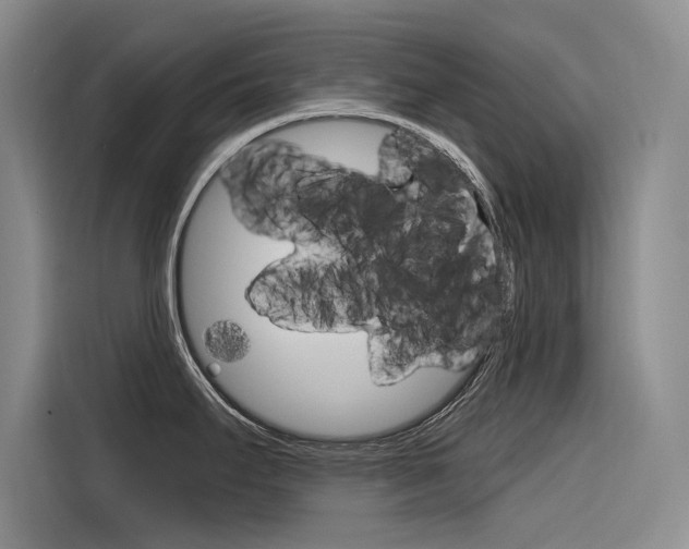 X0000116341295200912011011