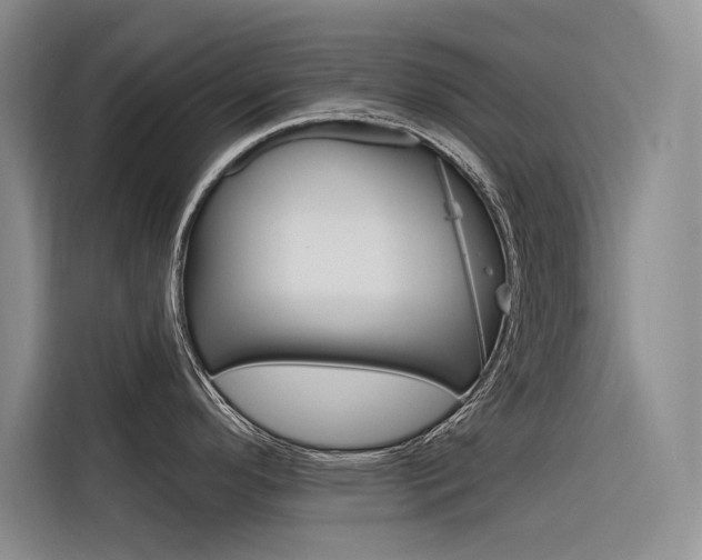 X0000116341296200912011011