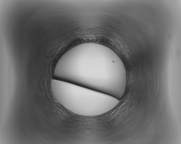 X0000116341297200912011010