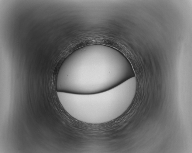 X0000116341298200912011010