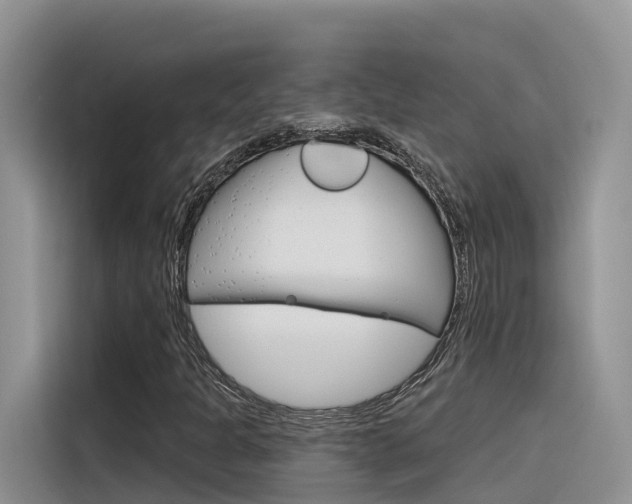 X0000116341301200912011010