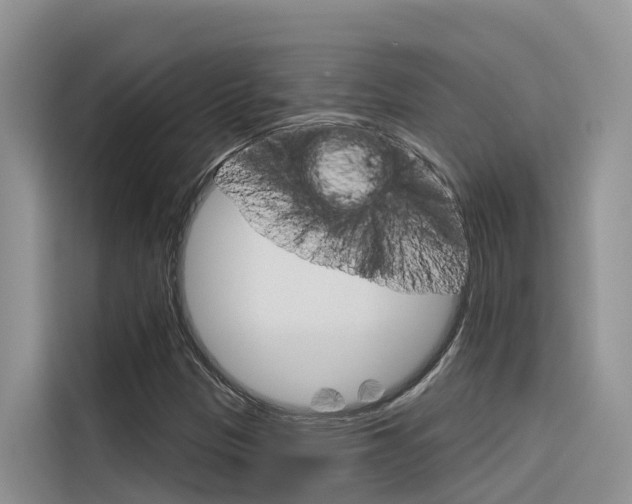 X0000116341305200912011010