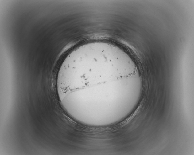 X0000116341306200912011010