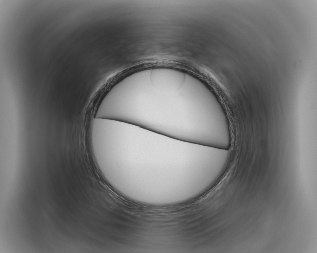 X0000116341307200912011010